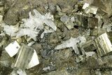 Quartz and Pyrite Crystals on Sphalerite and Chalcopyrite - Peru #369844-1